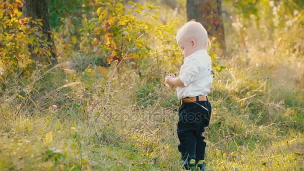 Kleiner Junge in der Natur — Stockvideo