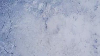 Karla kaplı ağaçlar