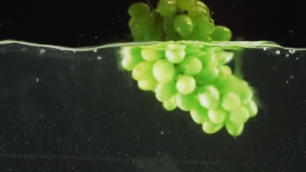 Gröna druvor i vatten — Stockvideo