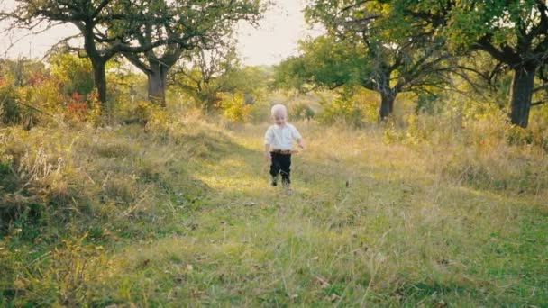 Kleine jongen in de natuur — Stockvideo