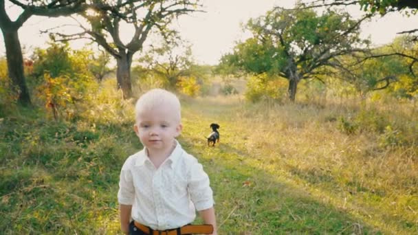 Μικρό αγόρι μέσα στη φύση — Αρχείο Βίντεο