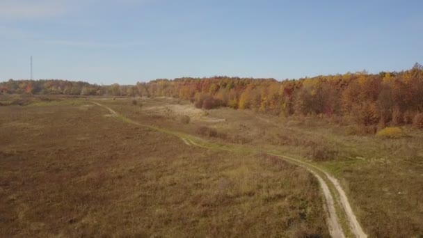 Осенний лес, снятый с высоты — стоковое видео
