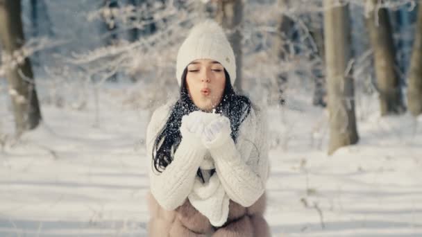 雪と遊ぶ女の子 — ストック動画
