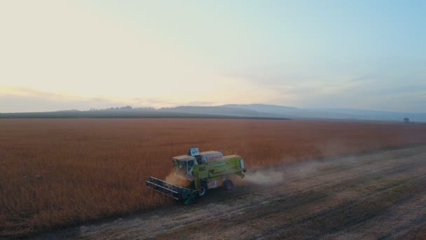 Harvester verzamelt sojabonen te combineren — Stockvideo