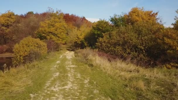 Herfst bos verwijderd uit de hoogte — Stockvideo