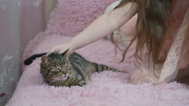 Chica con un gato en el sofá — Vídeos de Stock