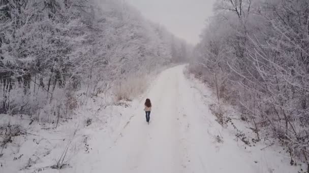 Het meisje loopt langs de weg — Stockvideo