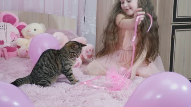 Дівчина з кішкою на дивані — стокове відео