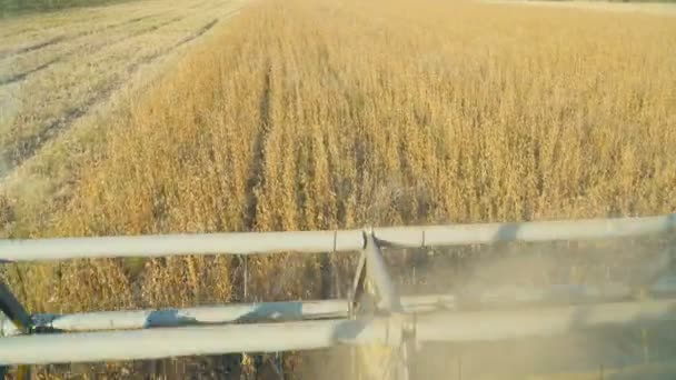 콩 수확기를 결합 — 비디오