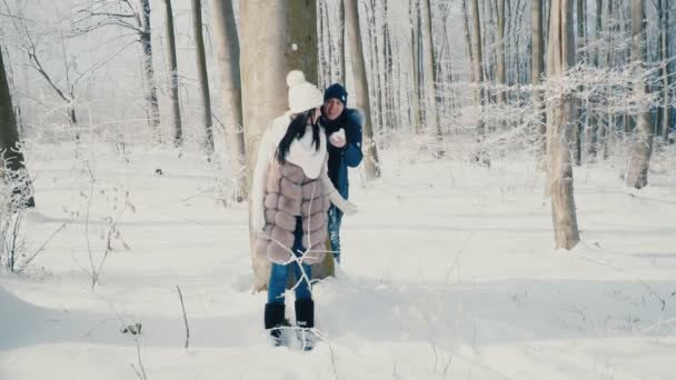 Paar in het winter forest — Stockvideo