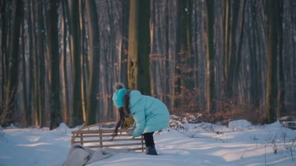 Девушка тянет сани — стоковое видео