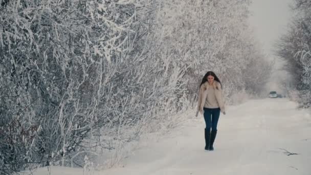 Krásná dívka chůze na zasněžené silnici — Stock video