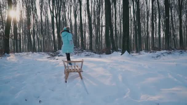 Bomen bedekt met sneeuw — Stockvideo