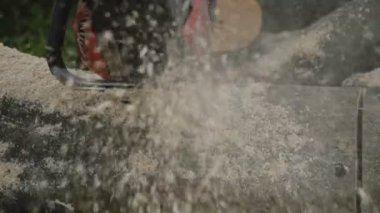 Zincirli Ağaç kesme testereleri uçan talaşla