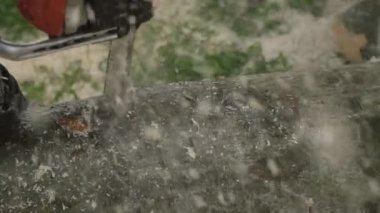 Zincirli Ağaç kesme testereleri uçan talaşla