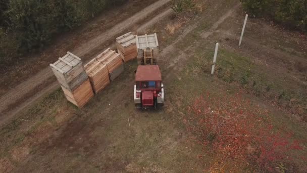 Traktor pohybuje velké dřevěné bedny — Stock video