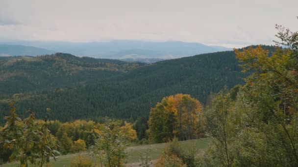 Panorama da floresta montanhosa — Vídeo de Stock