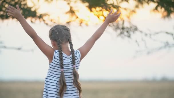 Chica en el fondo del campo y un árbol — Vídeo de stock