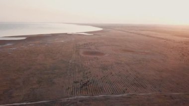 Bir grup inek otlakta otluyor.