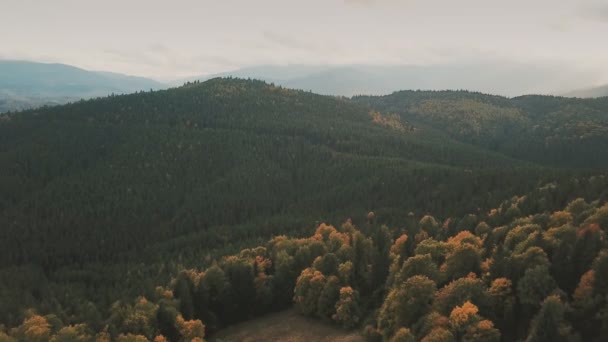 Montagne foresta autunnale dall'alto — Video Stock