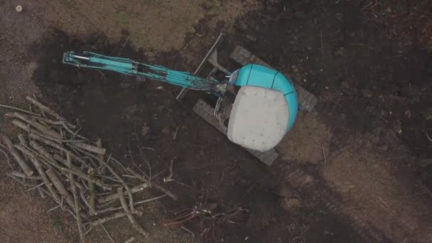 발굴가 가 오래 된 나무에서 수액을 채취하는 모습 — 비디오