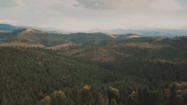 Dağlar sonbahar ormanı yukarıdan