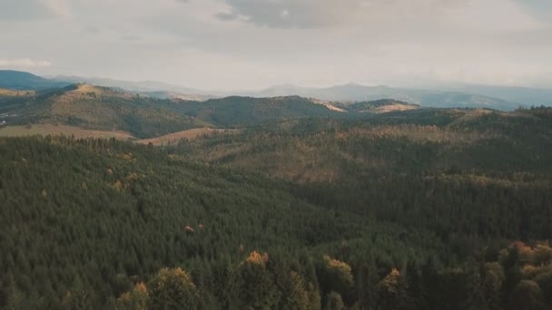 Горы осенний лес сверху — стоковое видео