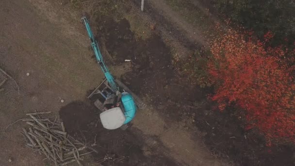 Экскаватор выкапывает коноплю из старых деревьев — стоковое видео