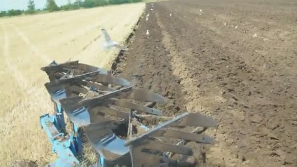 Een blauwe ploeg ploegt de grond — Stockvideo