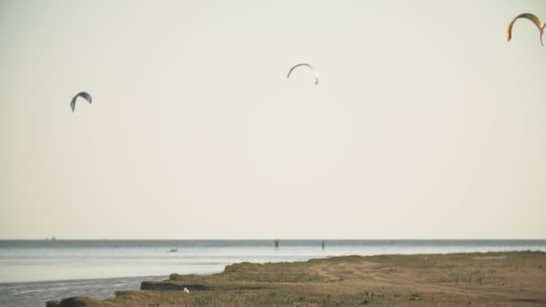 Skateboarders ride on the water — Stock Video