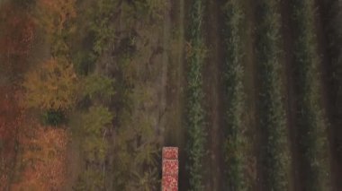 Elma karavanı olan bir traktör bahçeden geçiyor.