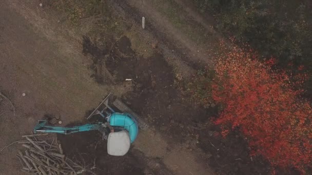 Excavadora cava cáñamo de árboles viejos — Vídeo de stock