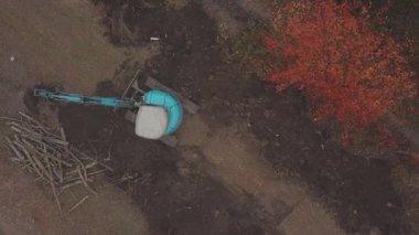 Kazıcı eski ağaçlardan kenevir topluyor