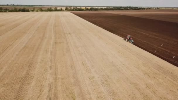En röd traktor plöjer ett fält — Stockvideo