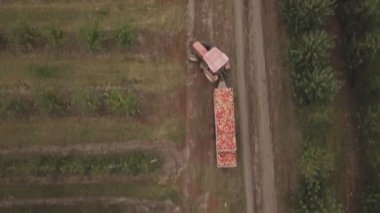 Bir kamyon dolusu elması olan traktör.