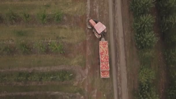 tracteur avec une remorque complète de pommes 