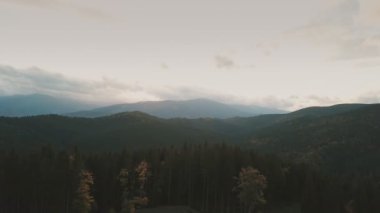 Ormanla kaplı dağlar