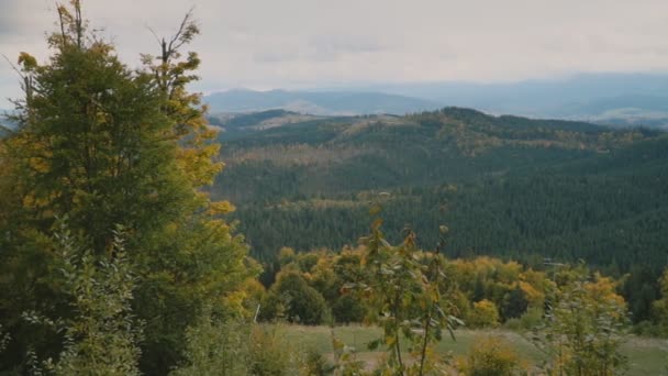 Montanhas cobertas por floresta — Vídeo de Stock