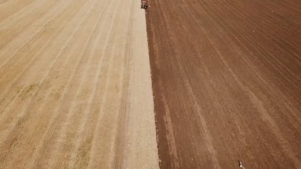 Een grote trekker ploegt een veld — Stockvideo