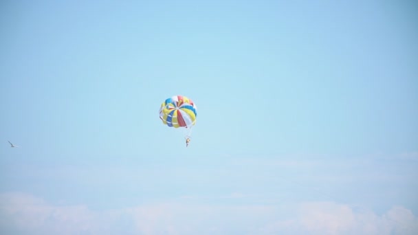 Man flies by parachute — Stock Video