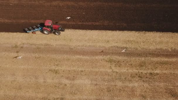 Ein großer Traktor pflügt ein Feld — Stockvideo