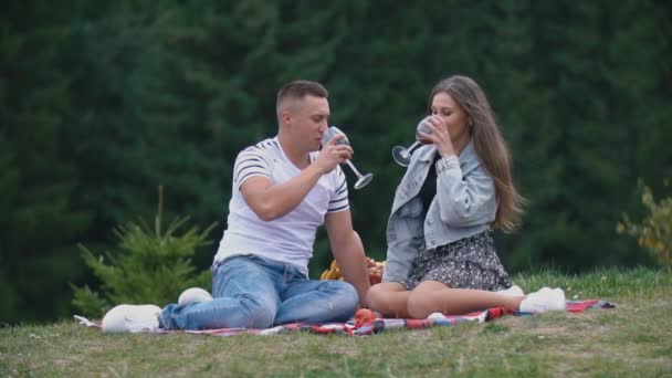 Couple sur un pique-nique boire du vin — Video
