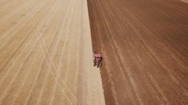 Ένα μεγάλο τρακτέρ οργώνει ένα πεδίο — Αρχείο Βίντεο