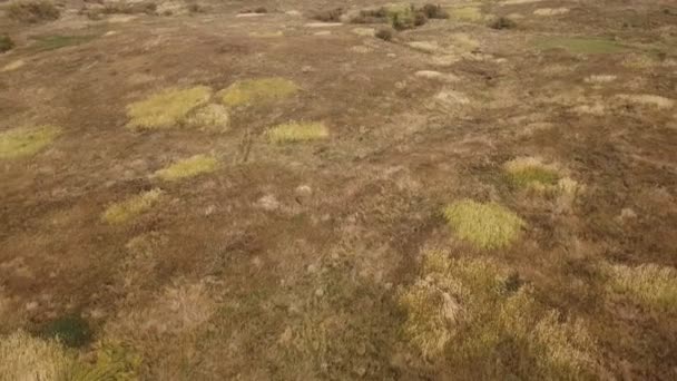 Осінній газон з висоти — стокове відео