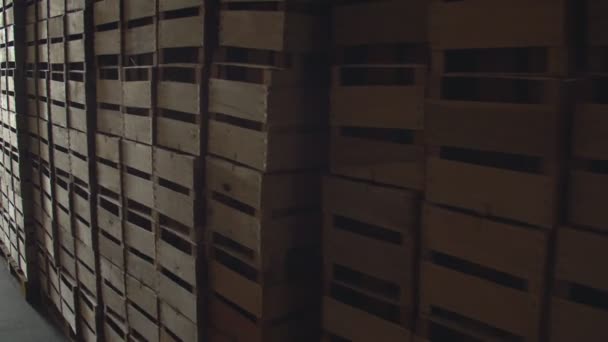 Αποθήκη με ξύλινα κουτιά — Αρχείο Βίντεο