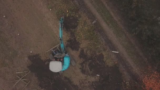 Екскаватор копає коріння дерева — стокове відео