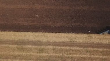 kırmızı traktör zemin pulluklar