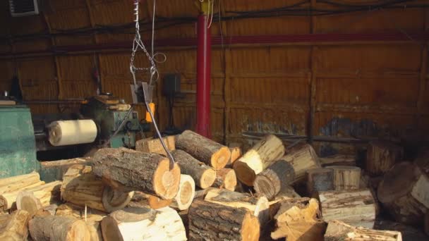 Carrying round logs for processing — Stock Video