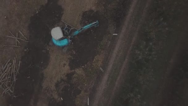 Kazıcı ağaç kütükleri kazıyor — Stok video