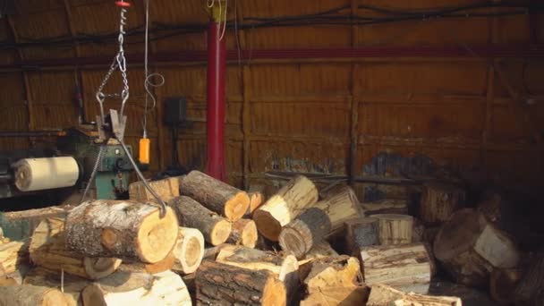 Carrying round logs for processing — Stok video